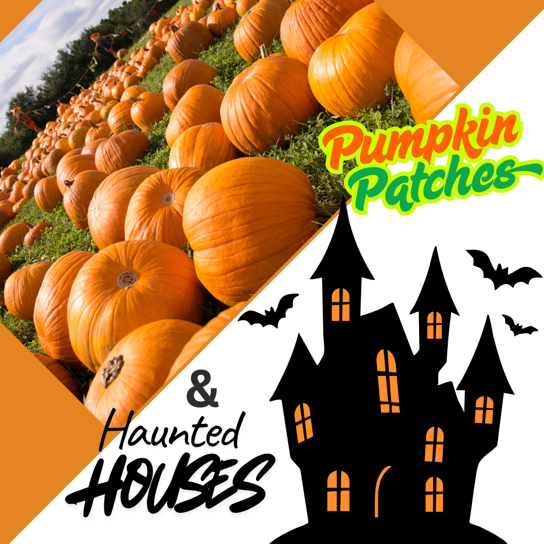 Pumpkin_Patches_and Haunted_Houses